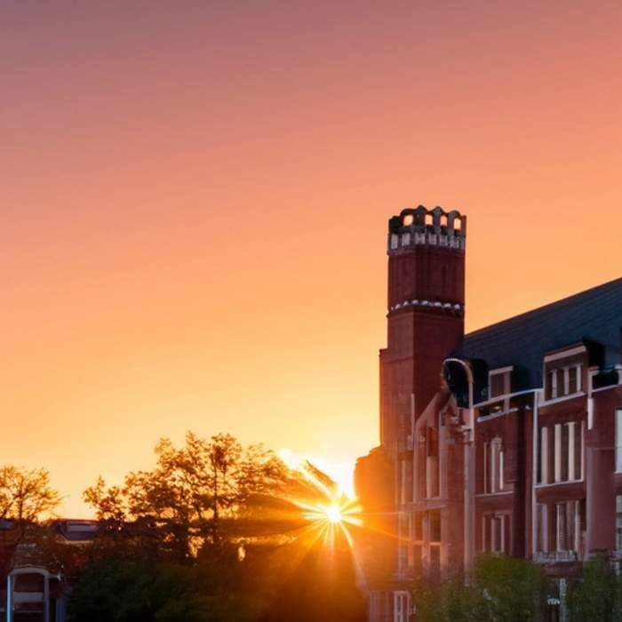 Dorm Room Essentials: Elevate Your College Experience with These Must-Have Items