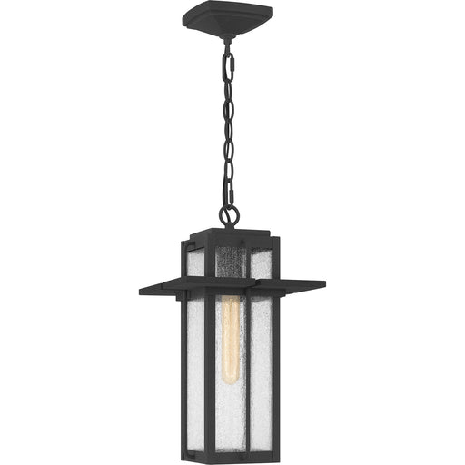 Quoizel RDL1909MB Randall One Light Outdoor Hanging Lantern, Mottled Black Main Image.jpg