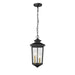Millennium 4643-PBK Eldrick Two Light Outdoor Hanging Lantern, Powder Coat Black Main Image.jpg