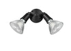 Millennium 16002-PBK Two Light Security Flood Light, Powder Coated Black Main Image.jpg