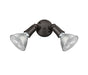 Millennium 16002-PBZ Two Light Security Flood Light, Powder Coated Bronze Main Image.jpg