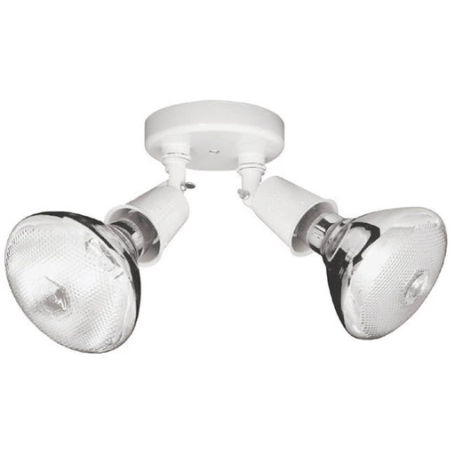Capital Lighting 9502WH Two Light Outdoor FloodLight, White Main Image.jpg