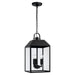 Capital Lighting 953434BK Nelson Three Light Outdoor Hanging Lantern, Black Main Image.jpg