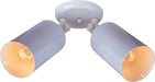 Maxim 92011WT Spots Two Light Flush Mount, White Main Image.jpg