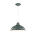Millennium RWHC14-SG R Series One Light Pendant, Satin Green Main Image.jpg