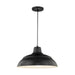 Millennium RWHC17-SB R Series One Light Pendant, Satin Black Main Image.jpg