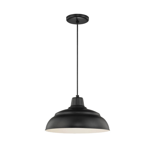 Millennium RWHC14-SB R Series One Light Pendant, Satin Black Main Image.jpg