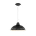 Millennium RWHC14-SB R Series One Light Pendant, Satin Black Main Image.jpg