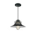 Millennium RRRC14-SB R Series One Light Pendant, Satin Black Main Image.jpg
