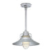 Millennium RRRS14-GA R Series One Light Pendant, Galvanized Main Image.jpg