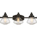 Quoizel SCH8603PN Scholar Three Light Bath Fixture, Palladian Bronze Alternate Image.jpg