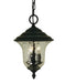 Framburg 1221 CH Hartford Three Light Exterior Ceiling Mount, Charcoal Main Image.jpg