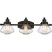 Quoizel SCH8603PN Scholar Three Light Bath Fixture, Palladian Bronze Main Image.jpg