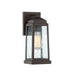 Quoizel RNL8405WT Ravenel One Light Outdoor Wall Lantern, Western Bronze Main Image.jpg