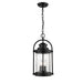 Millennium 2544-PBK Livingston Three Light Outdoor Hanging Lantern, Powder Coat Black Main Image.jpg