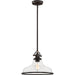 Quoizel GRTS2814PN Grant One Light Pendant, Palladian Bronze Main Image.jpg