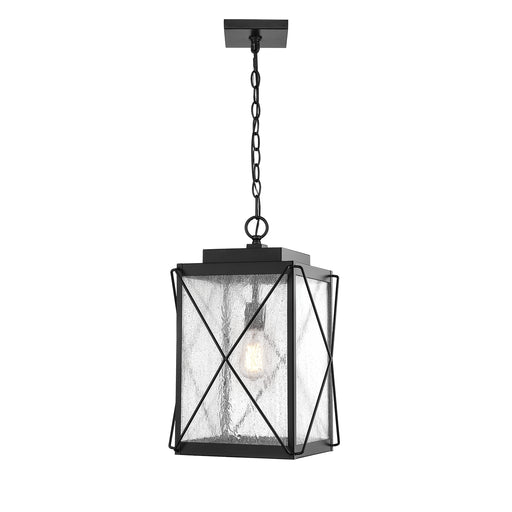 Millennium 2615-PBK Robinson One Light Outdoor Hanging Lantern, Powder Coat Black Main Image.jpg