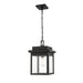 Millennium 2665-PBK Belle Chasse One Light Outdoor Hanging Lantern, Powder Coat Black Main Image.jpg
