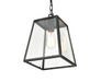 Millennium 8011-PBK Grant One Light Outdoor Lantern, Powder Coat Black Alternate Image.jpg