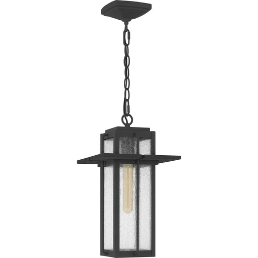 Quoizel RDL1909MB Randall One Light Outdoor Hanging Lantern, Mottled Black Alternate Image.jpg