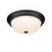 Millennium 4905-MB Three Light Flushmount, Matte Black Alternate Image.jpg