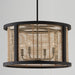Capital Lighting 344061FK Rico Four Light Pendant, Flat Black Alternate Image 3.jpg