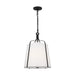 Visual Comfort Studio AP1241SMS Leander One Light Pendant, Smith Steel Alternate Image.jpg