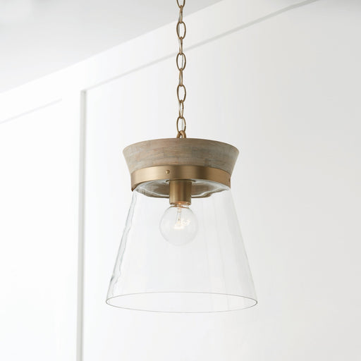Capital Lighting 347311WS Finn One Light Pendant, White Wash and Matte Brass Alternate Image.jpg