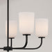 Capital Lighting 448851MB-542 Lawson Five Light Chandelier, Matte Black Alternate Image 3.jpg