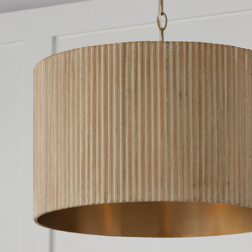 Capital Lighting 350741WS Donovan Three Light Pendant, White Wash and Matte Brass Alternate Image.jpg